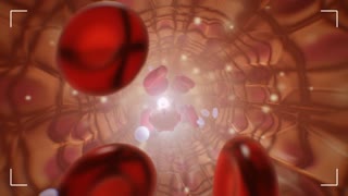 b7abc87b29cf4e888548fb58ce4408b39530c8e857e9835ca368a582377a8f05.thumbnail-320.jpg