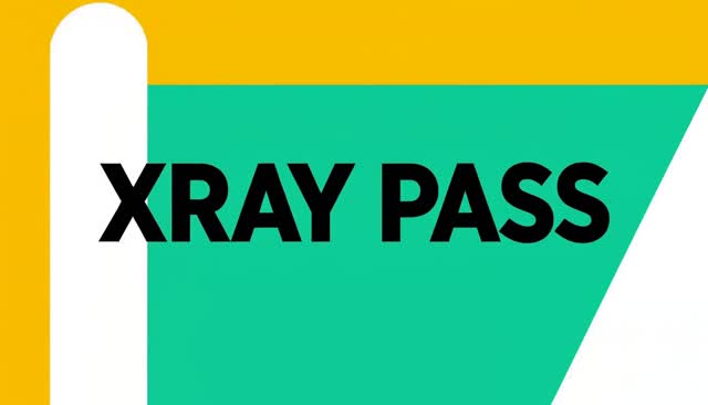 39 XRAY PASS: escaneamento transparente em estilo raio X