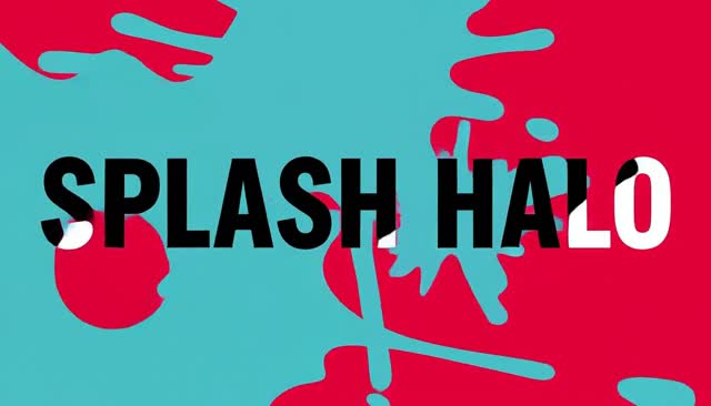 13 SPLASH HALO: anel de respingos