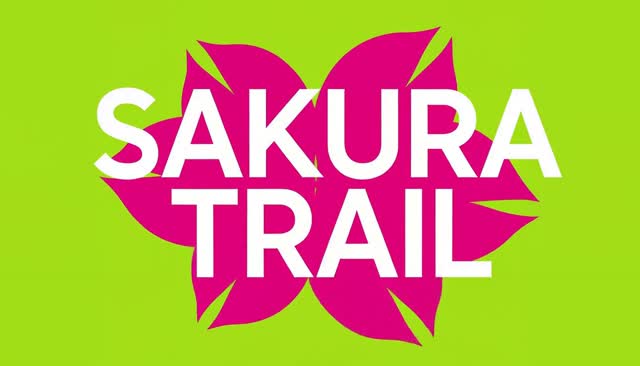77 SAKURA TRAIL: da trajetória a pétalas de cerejeira